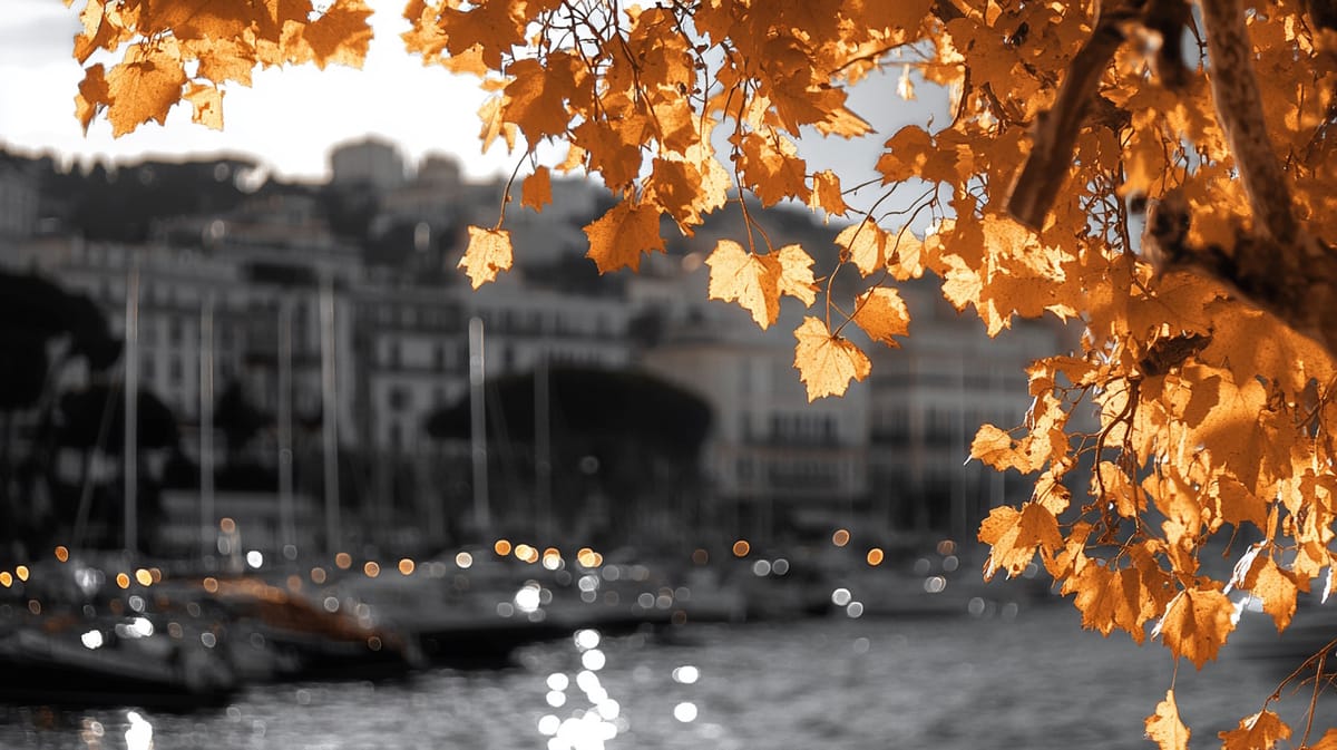 French Riviera City Cannes Leads Global Crypto Adoption with Ambitious 2025 Plan