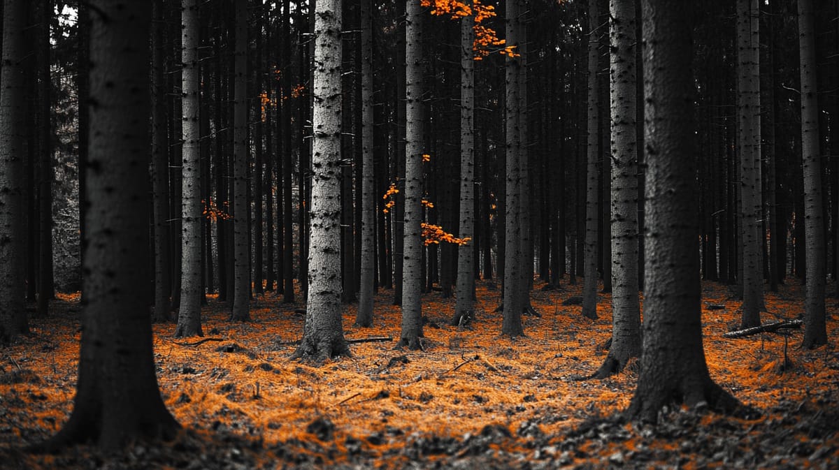 Deutsche Bank Confirms 2026 Crypto Custody Timeline