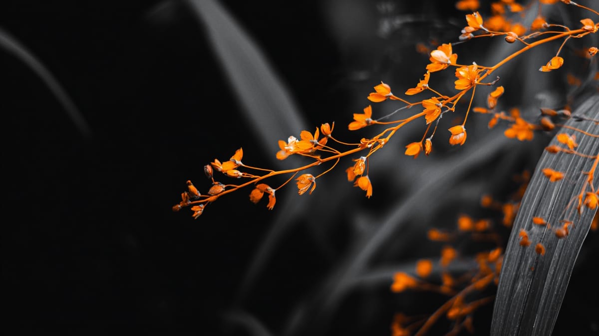 Strategy Maintains Bitcoin Gains as Stock Experiences Sharp Decline