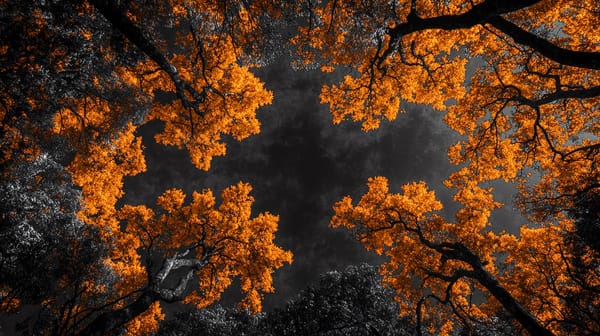 83rd Reason For National Bitcoin Reserve: Tokenizing Property Rights Simplifies Ownership and Transfers