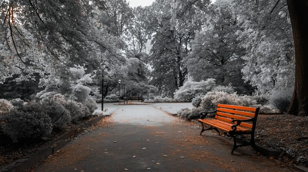 India Plans RBI Digital Currency Launch While Dismissing Unbacked Cryptocurrencies