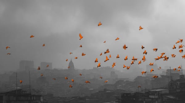 Strategy Executive Saylor Teases Fresh Bitcoin Purchase Despite Treasury NAV Pressure