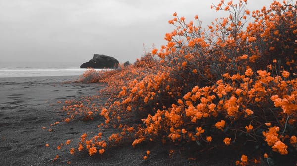 US China Trade Tensions Ease After Historic Crypto Market Liquidation Event